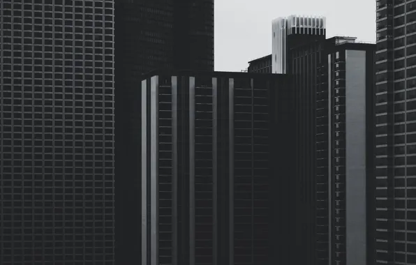 Windows, USA, United States, Chicago, Illinois, skyline, lines, black and white
