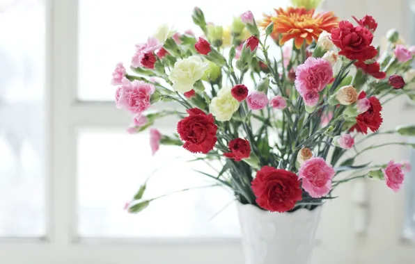Picture flowers, vase, different, clove
