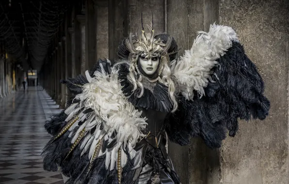 Picture feathers, mask, costume, carnival