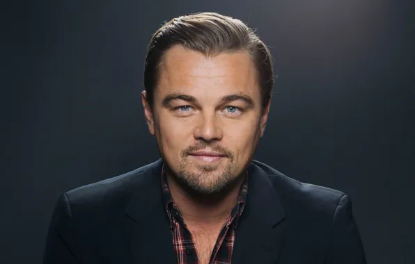 Actor, Leonardo DiCaprio, leonardo dicaprio