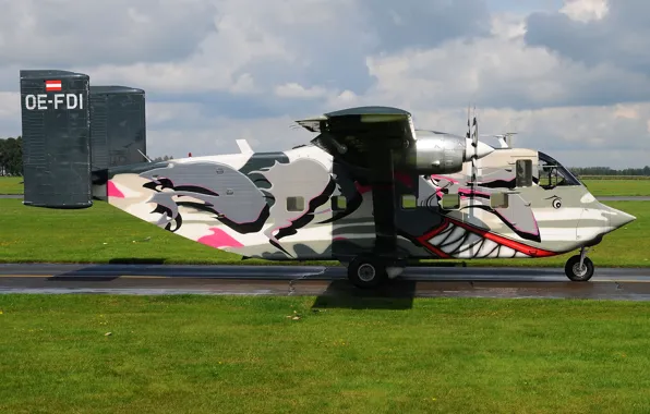 The plane, transport, easy, Short SC.7, Skyvan