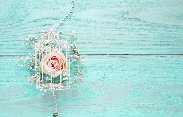 Picture flowers, background, roses, pink, white, wood, blue, pink