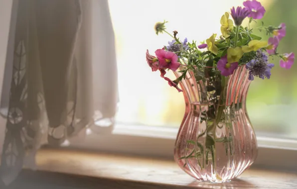 Picture flowers, background, window