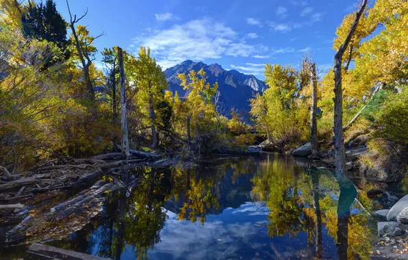 Convict Lake, reflections, Eastern Sierra, fall colors