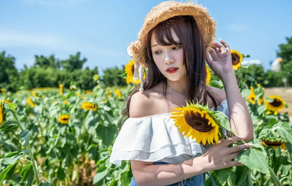 Field, summer, sunflowers, summer, field, cute girl, sunflowers, cute girl