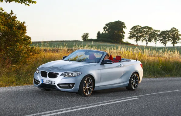 Road, auto, BMW, convertible, convertible, F23, 228i