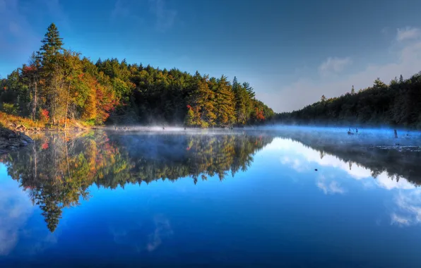 Picture autumn, forest, the sky, trees, fog, lake, morning