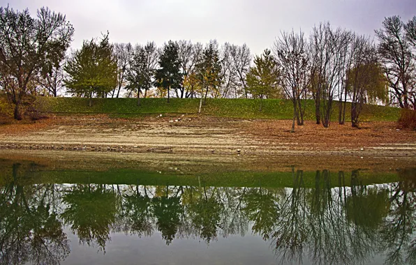 Picture autumn, reflection, trees, pond, Nature, trees, nature, the ranks