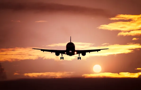 The sun, landscape, sunset, the plane, silhouette