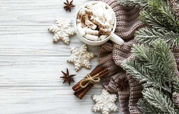 Branches, ate, Christmas, Cup, spices, marshmallows, Olena Rudo