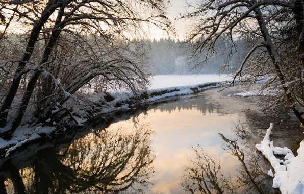 Winter, forest, snow, trees, landscape, nature, river, Germany