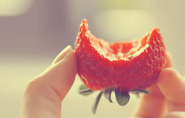 Picture Macro, Strawberry, Strawberry