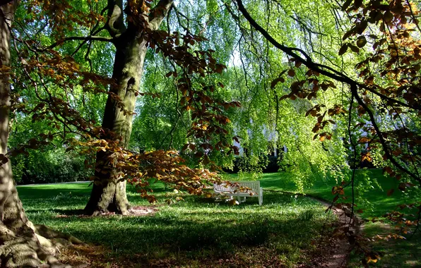 Autumn, grass, trees, Park, Hamburg, bench