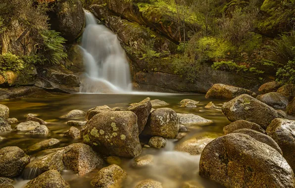 Picture stones, waterfall, stream, Victoria, Australia, Buffalo mountain