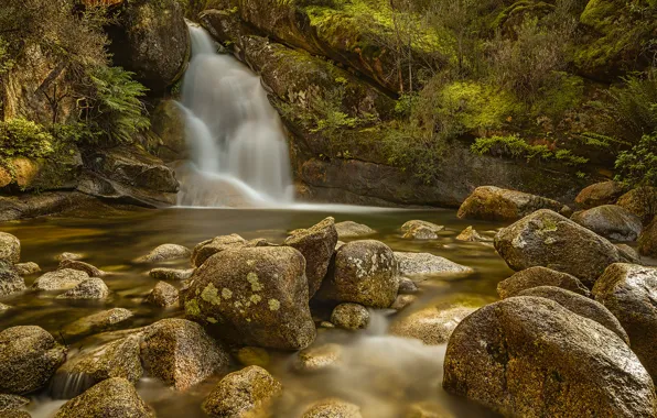 Stones, waterfall, stream, Victoria, Australia, Buffalo mountain