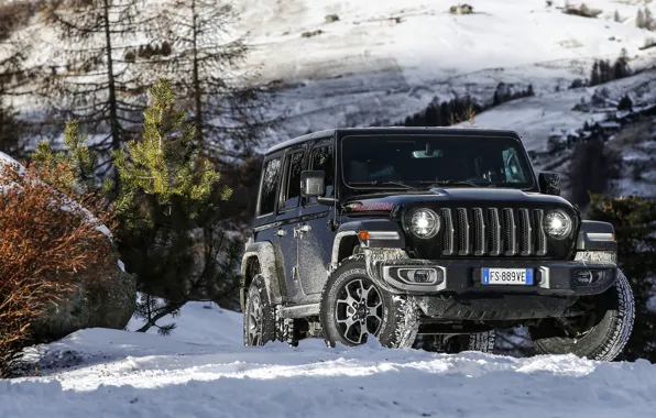 Picture 2018, Wrangler, Jeep, Unlimited, Rubicon, Jeep Wrangler, Jeep Wrangler Unlimited Rubicon 201