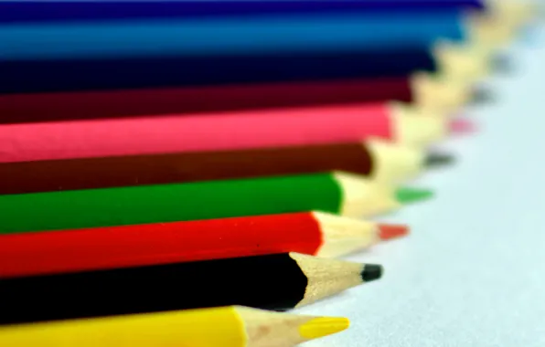 Pencils, a number, drawing, stylus