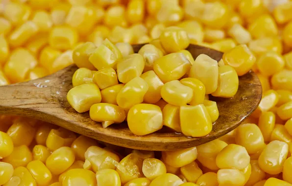 Macro, corn, spoon, corn grains
