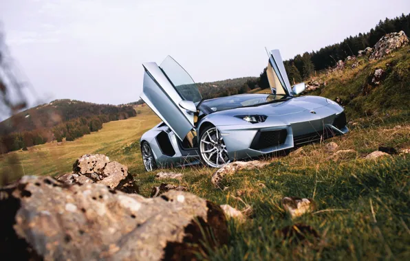 Picture Roadster, Lamborghini, Nature, Front, LP700-4, Aventador, Supercars, Silver