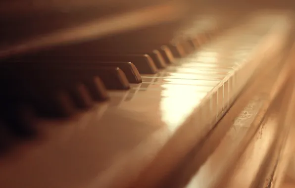 Keys, white, piano