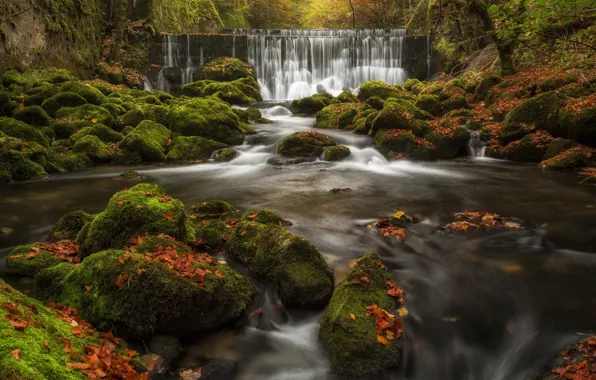 Autumn, leaves, river, stones, waterfall, moss, Switzerland, cascade