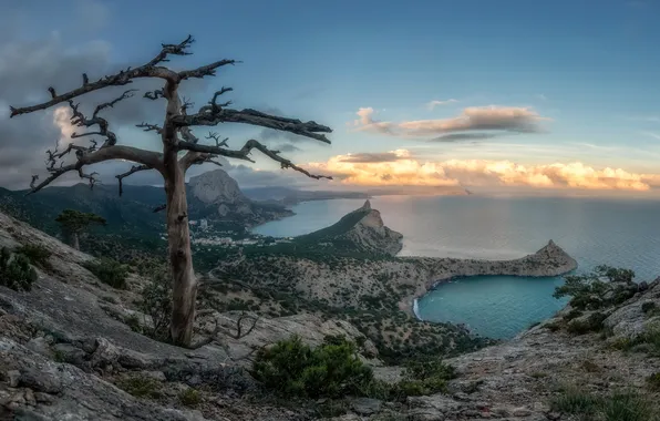 Ocean, water, mountains, rocks, tree