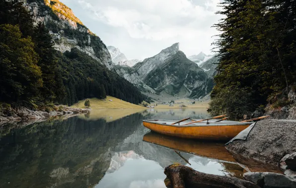 Nature, Wood, Water, Mountain, River, Rocks, Trees, Boat