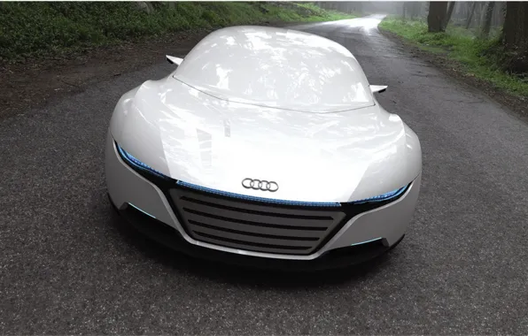 Road, Audi, lights, beauty, the concept
