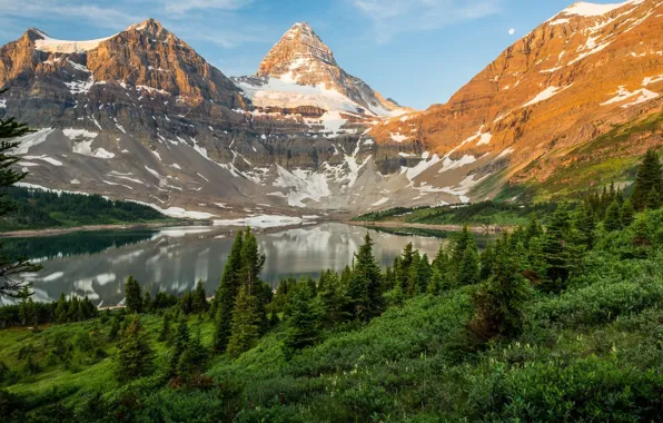Picture trees, landscape, mountains, lake