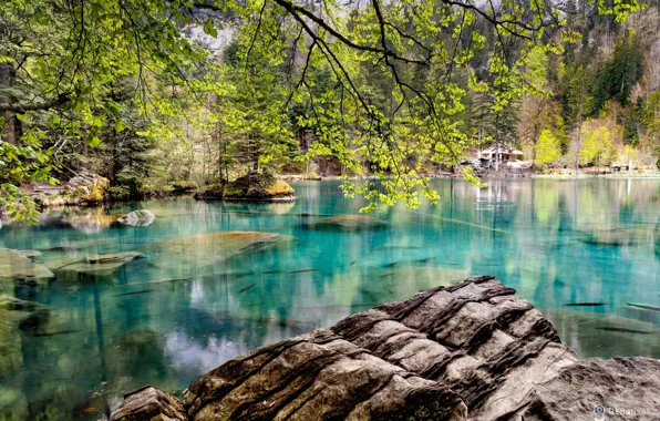 Picture fish, stones, clear water, structure, rocks, boulders, fish, structure