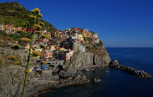 Sea, rocks, home, Bay, Italy, Manarola, Cinque Terre, The Ligurian coast