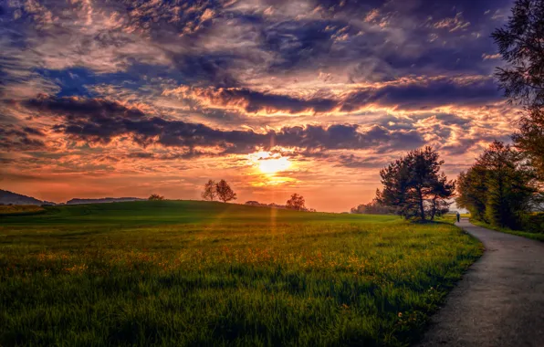 Road, the sky, grass, clouds, trees, landscape, nature
