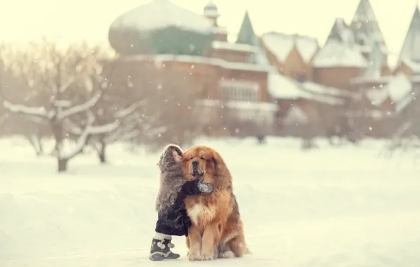 Winter, snow, dog, girl, friends, shawl, a great friend