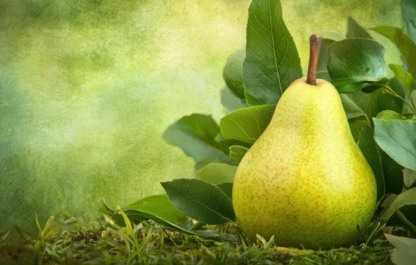 Leaves, fruit, pear, green, green background, AI art, neural network