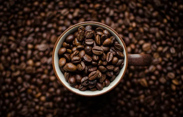 Coffee, grain, Cup