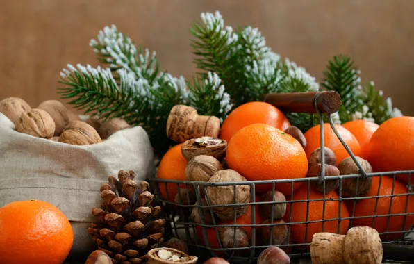 Basket, bump, nuts, tangerines, fir-tree branches