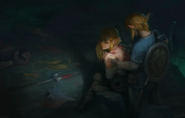 The Legend of Zelda Fan Art: Link  Legend of zelda, Legend of zelda  breath, Breath of the wild