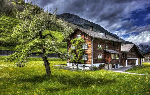 Grass, flowers, house, tree, mountain, HDR, spring, Switzerland
