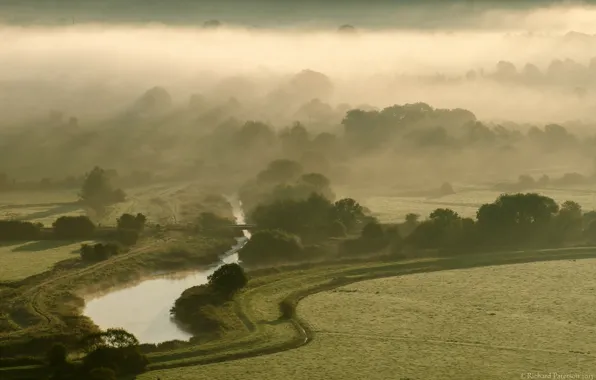 Picture landscape, fog, morning, valley