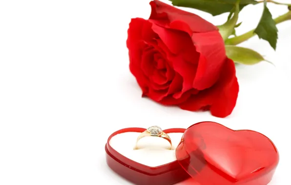 Romance, rose, ring, red, flowers, romantic, box, wedding