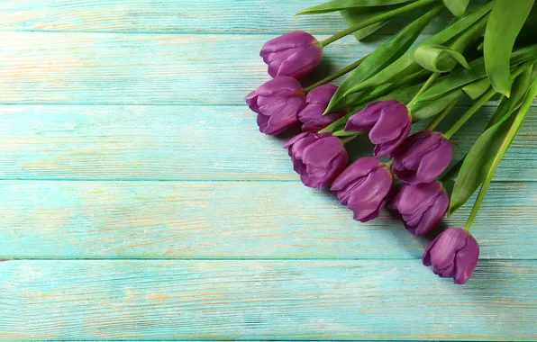Flowers, bouquet, tulips, wood, flowers, tulips, spring, purple