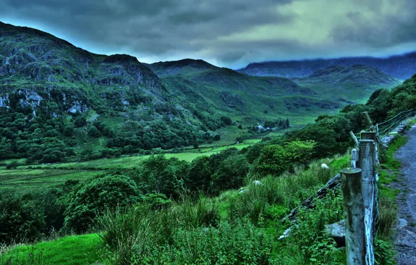 The sky, trees, mountains, HDR, rich, UK, mountain, Snowdonia