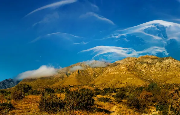 Clouds, trees, landscape, mountains, USA, Texas, Guadalupe Mountains National Park