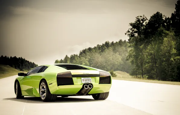 Road, green, green, lamborghini, rear view, murcielago, lp640, Lamborghini