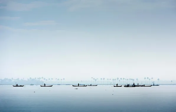 Boat, India, silhouette, fishers of shellfish, Kerala, the Vembanad lake
