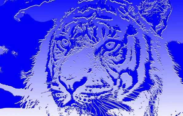 Picture cat, abstraction, tiger