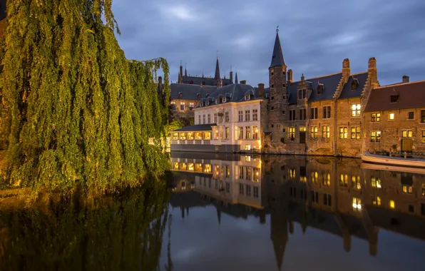 Picture branches, the city, reflection, tree, building, home, the evening, lighting