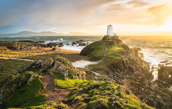Sea, the sky, clouds, light, fog, stones, rocks, dawn