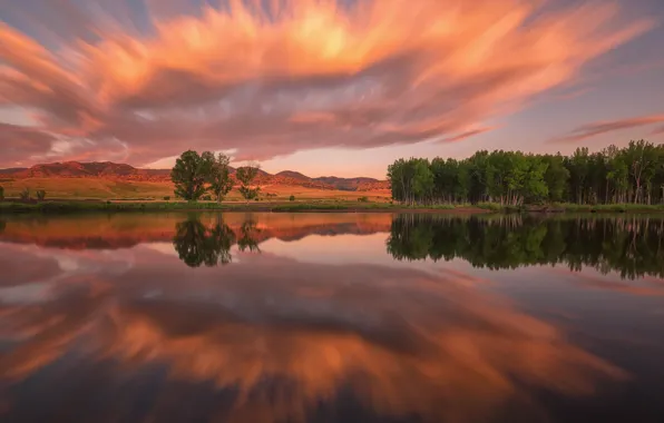 Picture trees, lake, reflection, pond, mirror