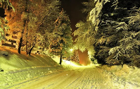 Winter, road, snow, trees, lights